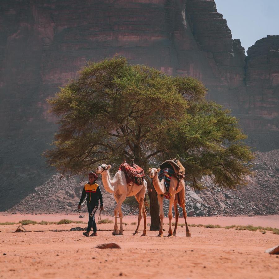 Wadi Rum Magic Nature Camp Kültér fotó
